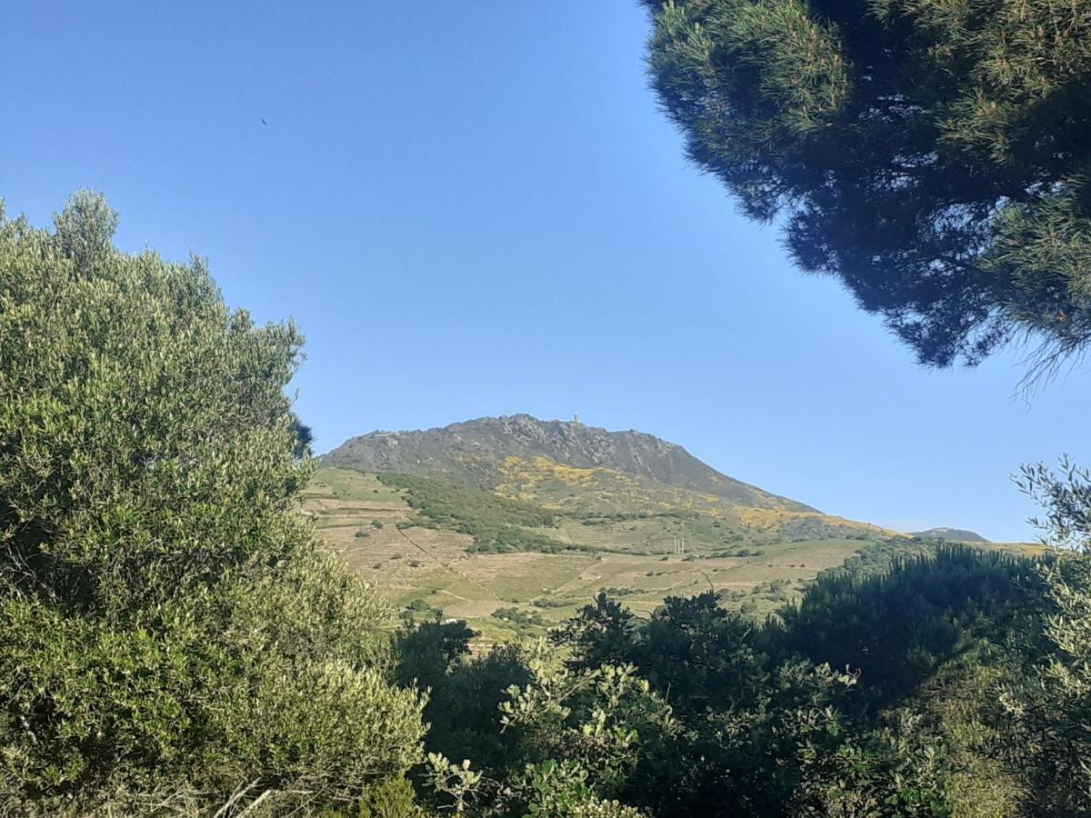 Casa Azul & Blanca Διαμέρισμα Banyuls-sur-Mer Εξωτερικό φωτογραφία